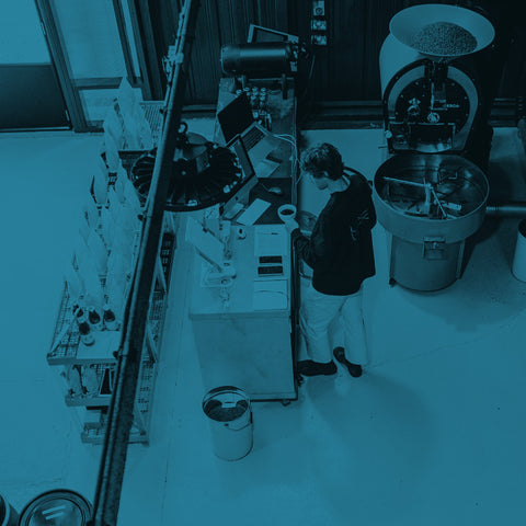 Coffee roasting plant with equipment and workers in a warehouse setting